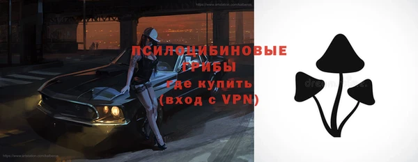 МДПВ Аркадак