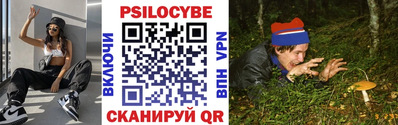 Псилоцибиновые грибы мицелий Певек